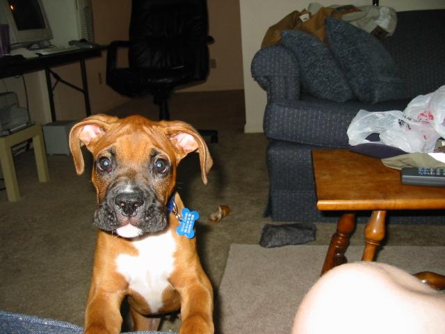 Hey daddy whats that?