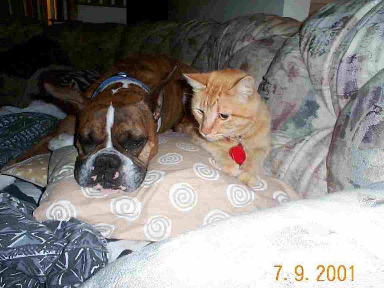 Hey DOG!! Get off of me!