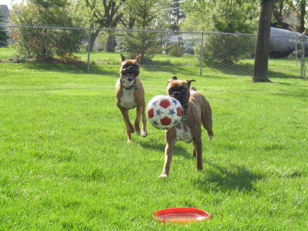 Hey...Gimme that back!