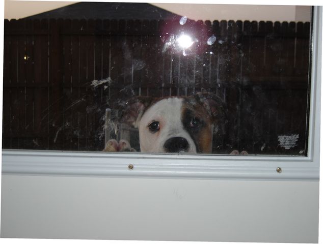 Hey!  I know you're in there!