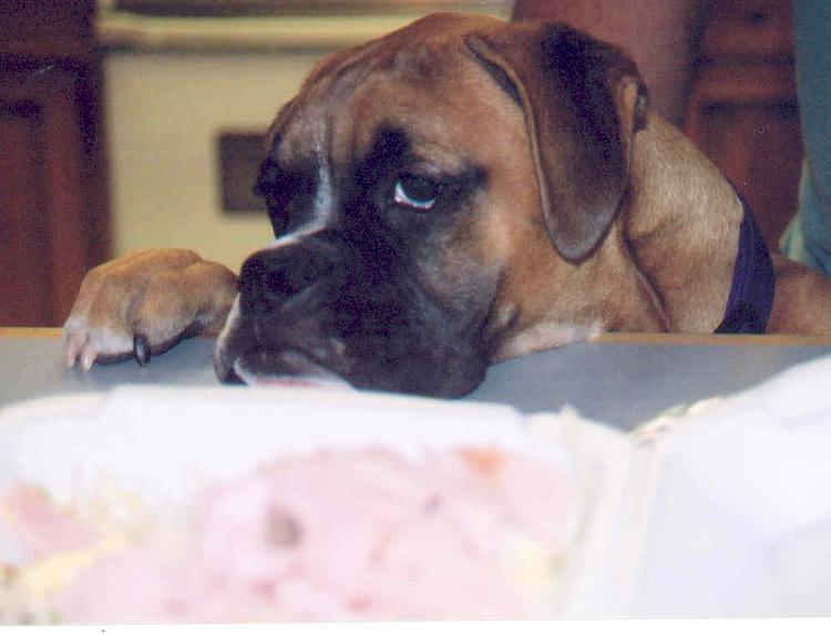 Hey, I want some too!