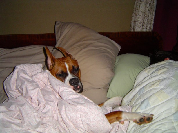 Hey, I was sleeping!!
