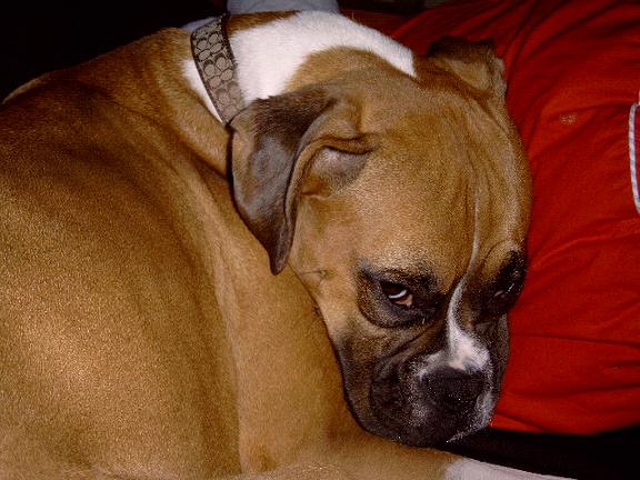 Hey! I was sleeping!!