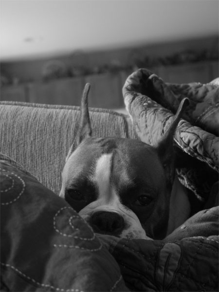 Hey!  I'm Sleepin' Here!