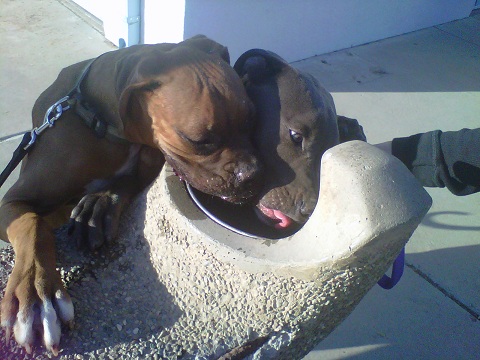 hey let me get some water!
