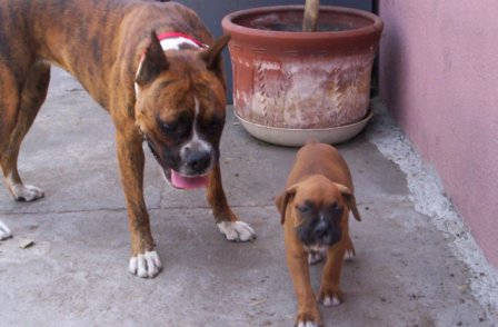 HEY LITTLE GUY WAIT FOR ME..