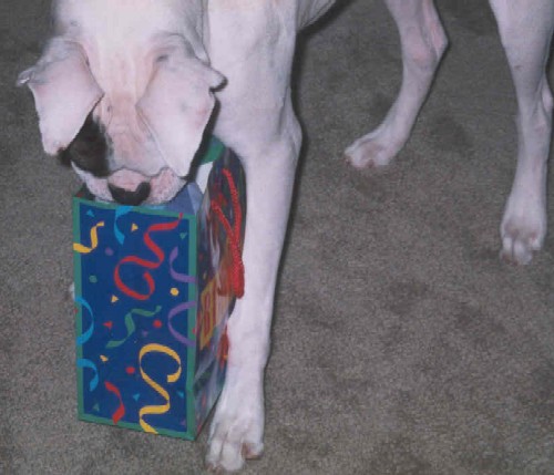 Hey Mom...What's in here?