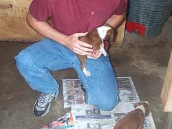 hey! put me down i wasnt done playing yet!