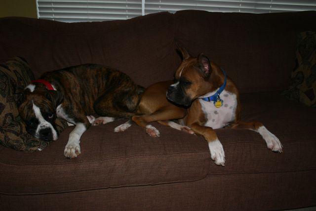 Hey sis, thats Dads spot!