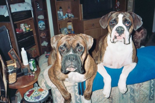 Hey, take our picture