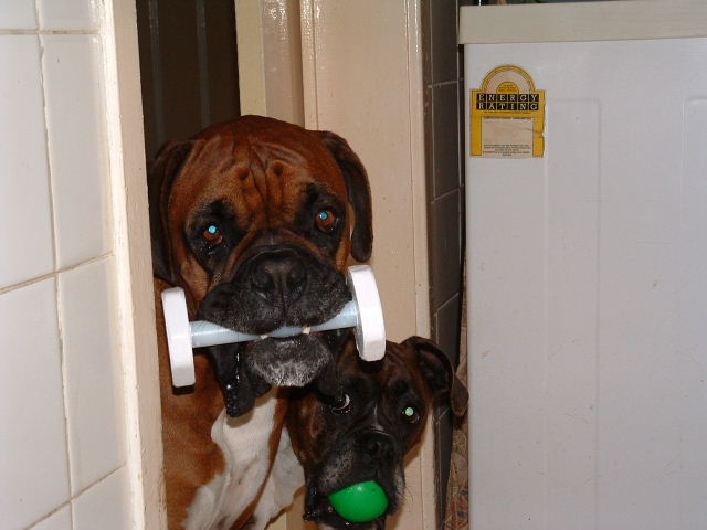 Hey, thats my dumbell!