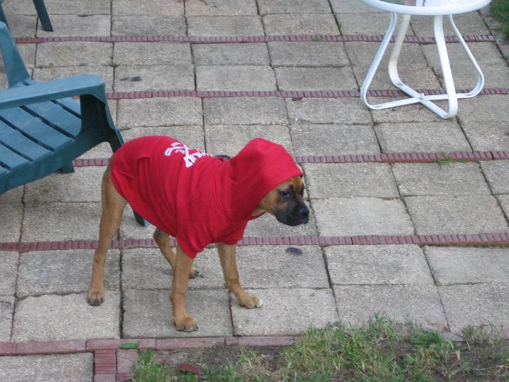 Hey there Little Red Riding Hood......