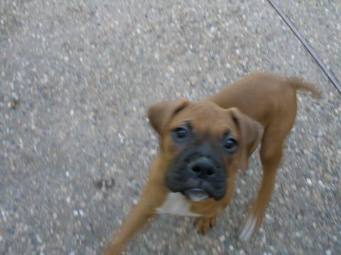 Hey....what'cha got there?