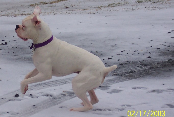 Hey, where'd my ball go??