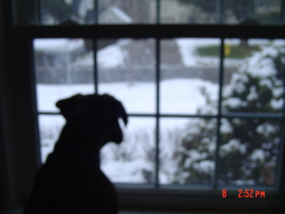 Hey.. where'd ya go mom?
