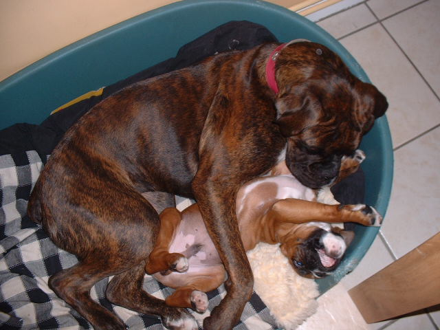 'Hey you, get outta my bed'