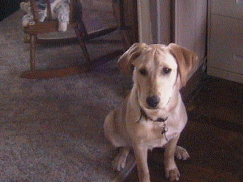 HI IM SUZY