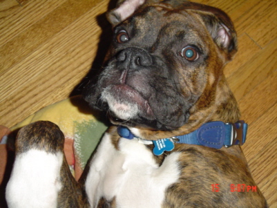 Hi Mom.. just playin!