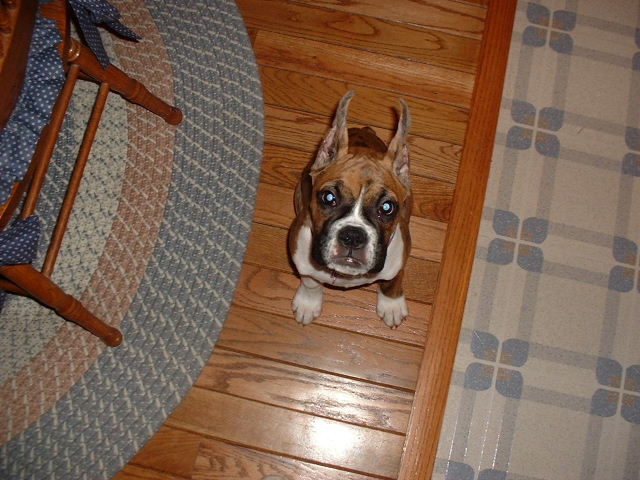 Hi Mommy!