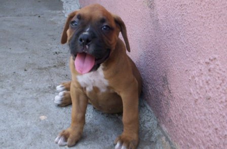 HI MY NAME IS TINO FROM LOS ANGELES, CA..