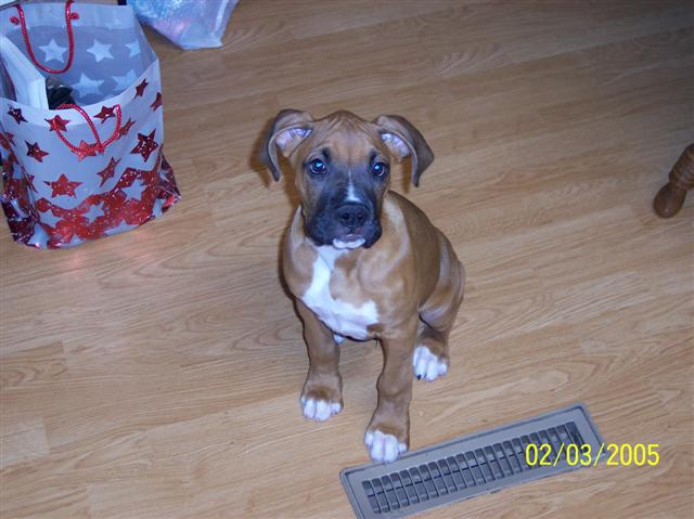 Hi. My name's Wilson.