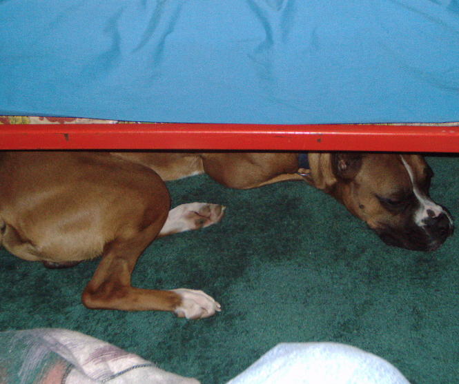Hide & Seek