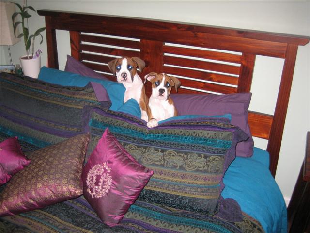 Hiding in Mum & Dad's Bed