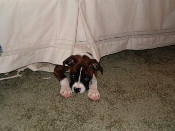 Hiding Spot