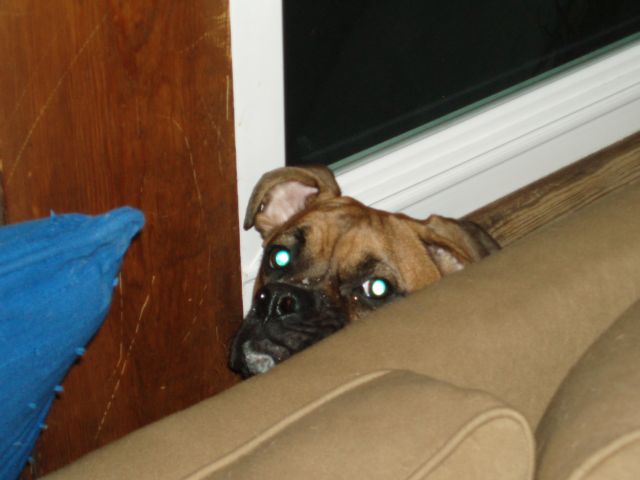 hiding