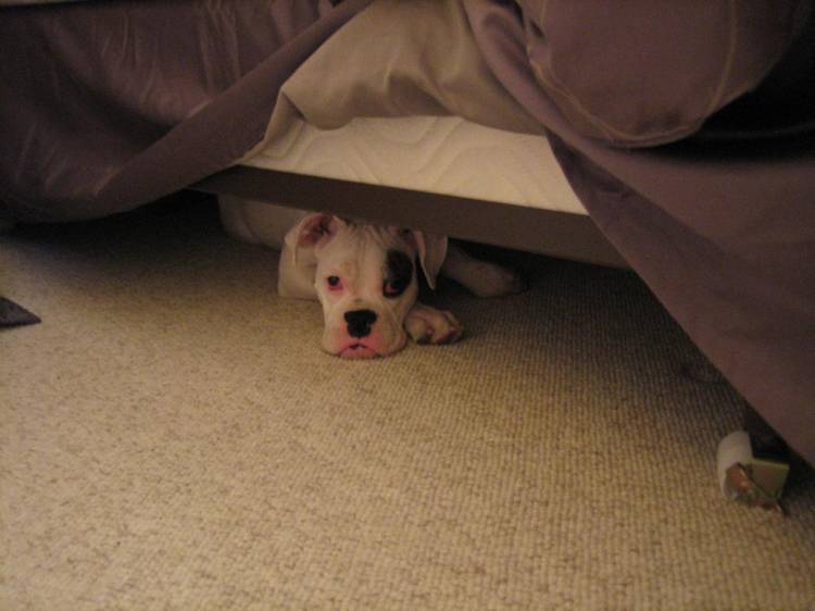 hiding3