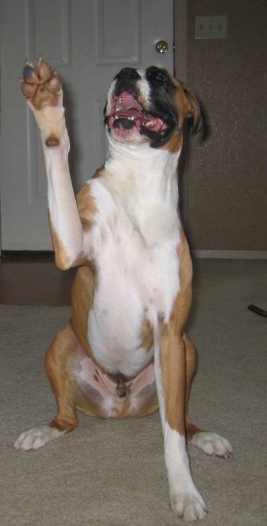 High Five!