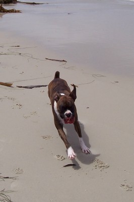High Speed