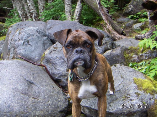 Hiking at the Lake