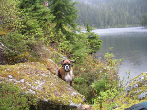 Hiking with Dad