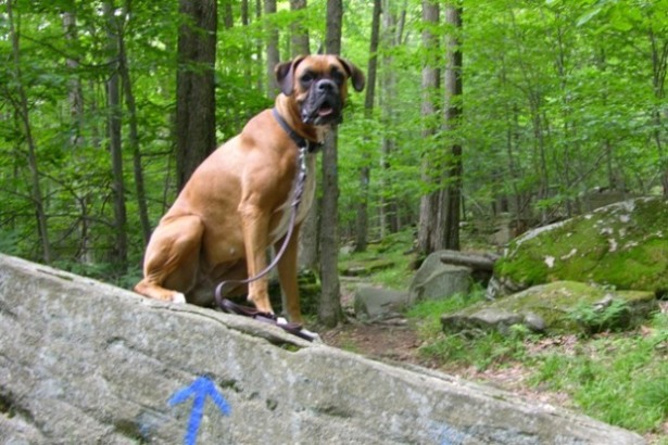 Hiking