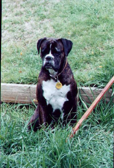 Hillie, my pretty poser