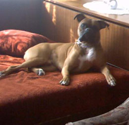 His bed