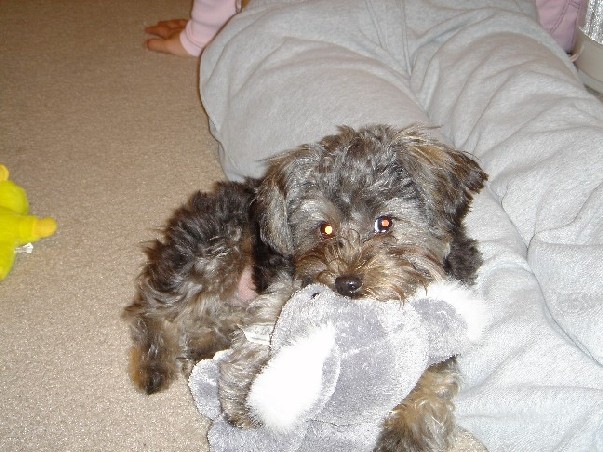His favorite Toy