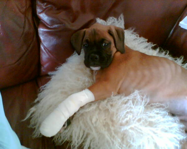 His poor foot!