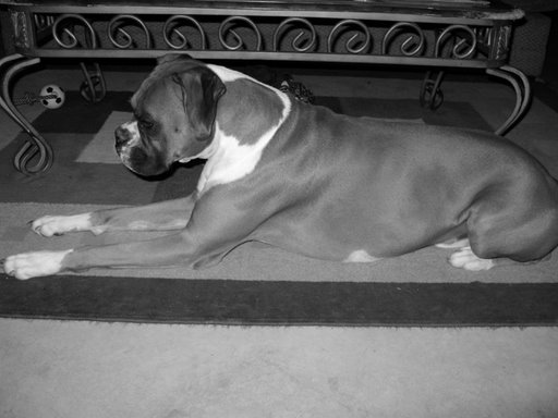 His royal majesty
