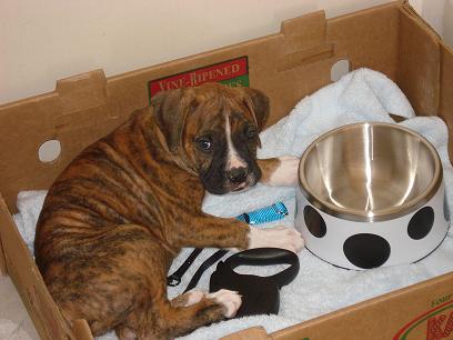 His security box