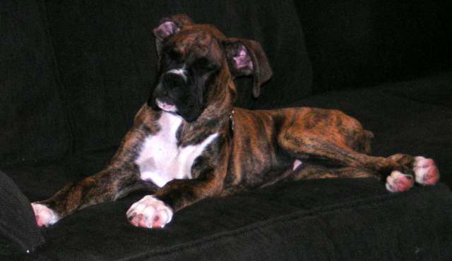 His side of the couch