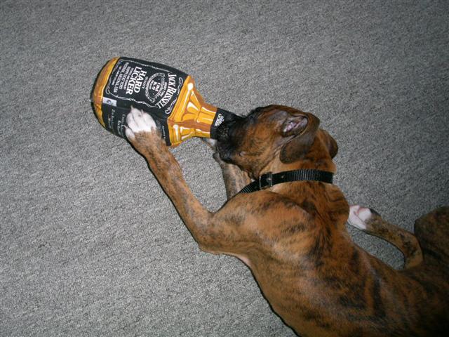 Hitting the Bottle