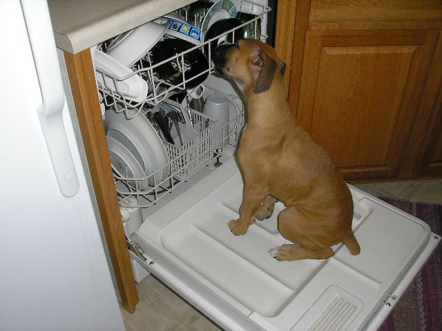 Hmm taste like chicken!!