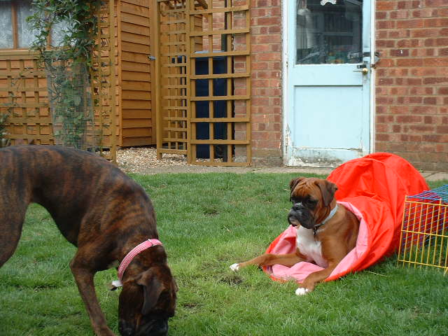 Hmmm this is cosy