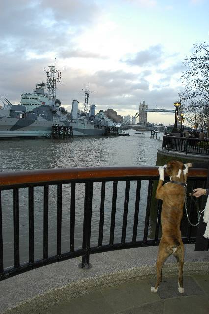HMS Belfast
