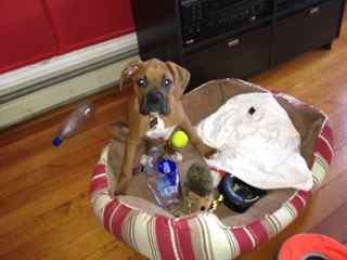 Hoarding