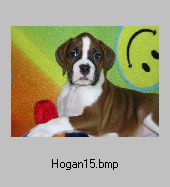 Hogan