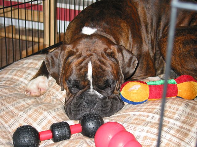Hogging the toys