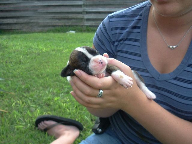 Holding my sweet girl, approx 2 weeks old
